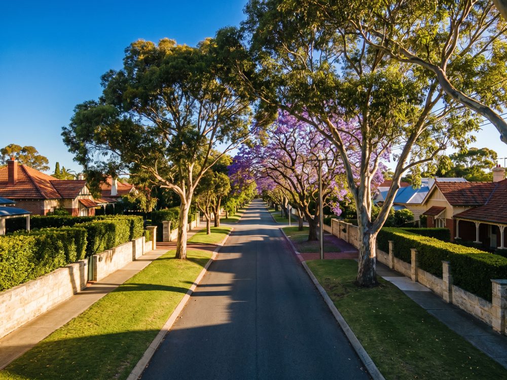 A leafy western-suburbs street in late afternoon light